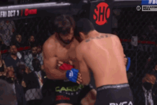 Neiman Gracie tung đòn chỏ cực mạnh vào mặt Mark Lemminger.