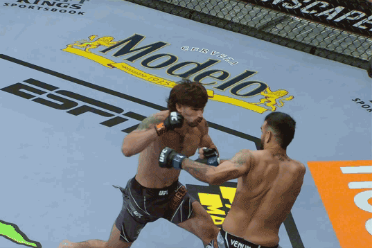 Matt Semelsberger tung cú đấm khiến Martin Sano ngã gục.