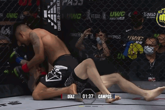 Juan Diaz ra đòn hạ knock-out Juan Campos.