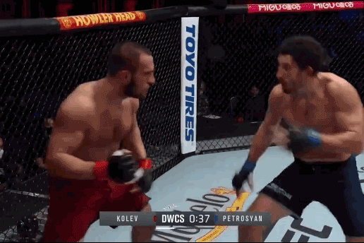 Loạt đòn đánh giúp Armen Petrosyan giành chiến thắng knock-out.