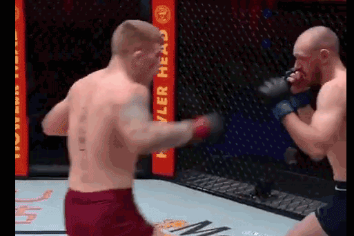 Slava Borshchev ra đòn hạ knock-out đối thủ