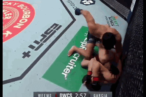 Fernie Garcia tung hàng loạt cú đấm bồi hạ gục đối thủ.