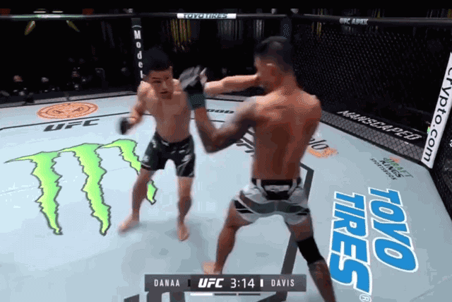 Danaa Batgerel đấm Brandon Davis văng vào tường sàn đấu.