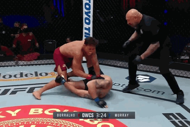 Caio Borralho hạ knock-out đối thủ Jesse Murray.