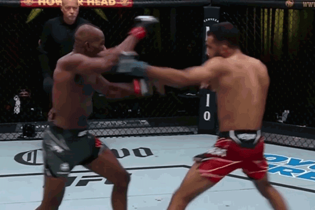 Jai Herbert ra đòn hạ knock-out đối thủ Khama Worthy.