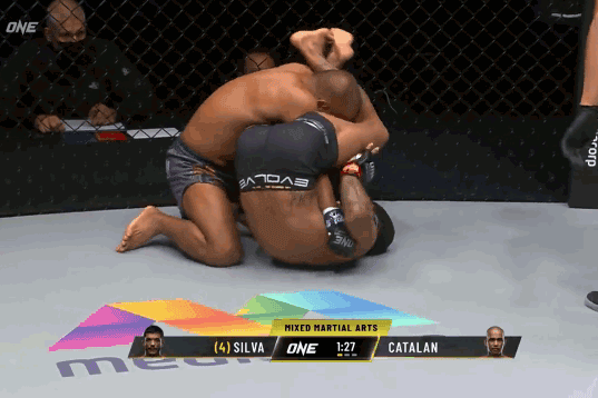 Alex Silva hạ knock-out Rene Catalan.