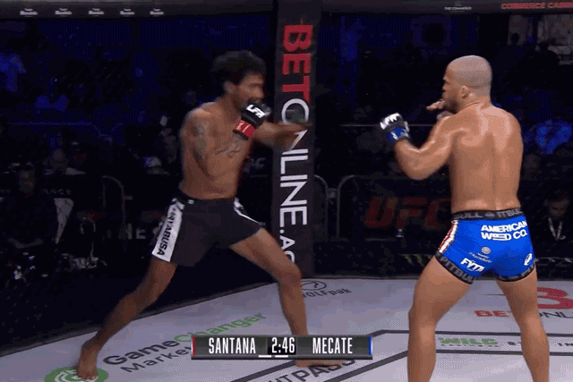 Dik ustida sakrayapti (Gif)