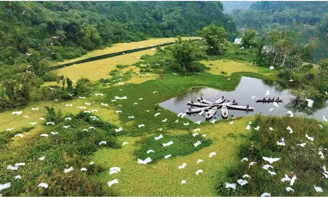 Sự thực Vườn chim Thung Nham được chuyển nhượng với giá hàng triệu USD