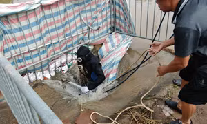 Hà Nội: Người nhái lặn tìm nam sinh nghi mất tích khi đi qua đường ngập