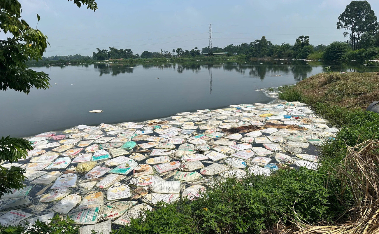 Người dân vứt lợn chết vào ao nuôi thủy sản tại xã Bản Nguyên, tỉnh Phú Thọ ban-sao-a2-dtlcp.jpg