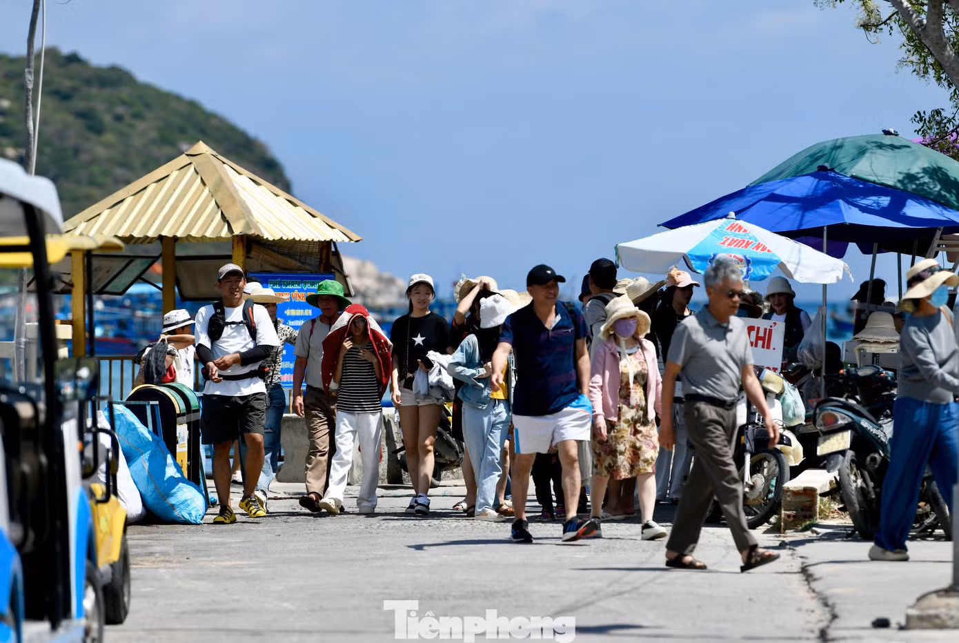tp-c_diu-k-1.jpg