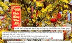 Người trẻ không "lụy" Tết, chỉ lụy những điều lưu luyến đã làm nên Tết