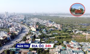 Địa ốc 24H: Nhà đất ngoài đê 'đóng băng' vì lo vướng quy hoạch đại dự án; lộ DN bất động sản nợ thuế 'khủng'