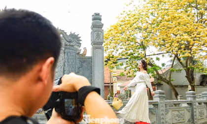 Người Hà Nội bắc ghế săn ảnh hoa bún chỉ nở một lần trong năm