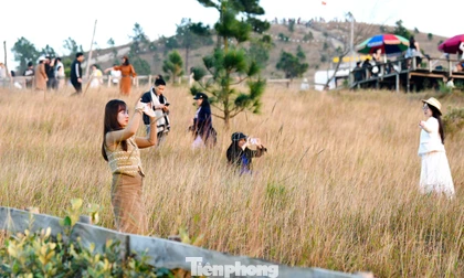 Du khách đổ xô đi cắm trại, check-in ở đồi cỏ phủ màu 'siêu thực' 