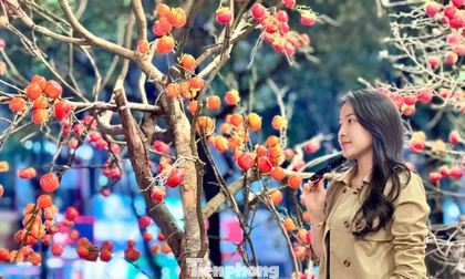 Giới trẻ Thủ đô check-in quán cà phê như ‘phim trường Tết’