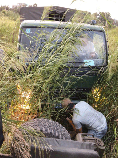 Hơn 30 chú chó nghiệp vụ 'săn' kẻ cướp trong rừng lau sậy ảnh 5