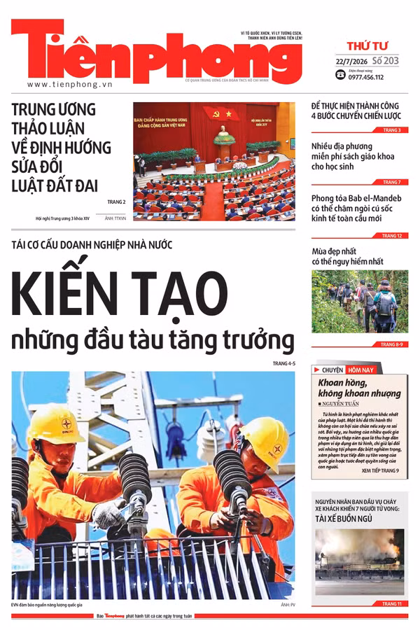 Tiền Phong số 203/2026