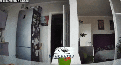 Nga: Động đất cực mạnh, kích hoạt cảnh báo sóng thần ở Kamchatka