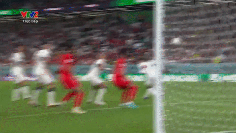 World Cup 2022: Hạ Bồ Đào Nha 2-1, Hàn Quốc tạo địa chấn, tiếp bước Nhật Bản vào vòng 1/8 ảnh 17