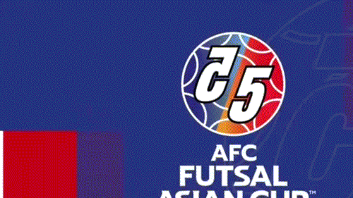 Đức Hòa ghi bàn danh dự trong thất bại 1-8 của ĐT futsal Việt Nam trước Iran ảnh 5