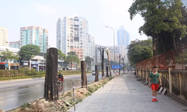 Hà Nội xén vỉa hè, chặt chuyển cây xanh