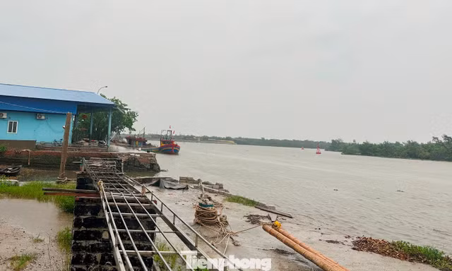 Lũ vượt báo động 3, Hưng Yên yêu cầu trực đê 24/24, có phương án di dời dân