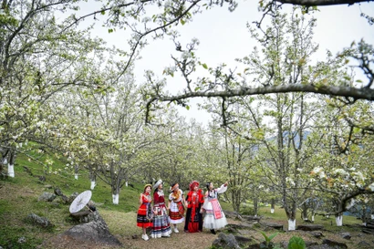 Du khách mê mẩn với sắc trắng hoa lê ở Tuyên Quang