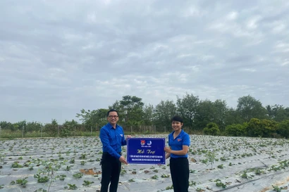 Tạo 'bệ đỡ' để thanh niên Điện Biên lập nghiệp bền vững