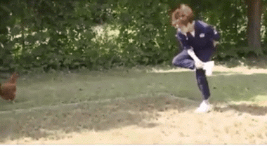 Muốn gây ấn tượng với một con gà thì nên làm thế nào nhỉ?