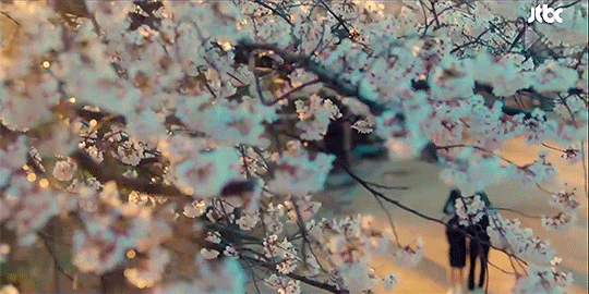 Cơn mưa Xuân đáng nhớ của tuổi 18 khi được ở bên người mà mình thích. (Gif: Tumblr) Lee Do Hyun là “Hoàng tử mưa” của “18 Again”, cứ quay cảnh mưa là đẹp rụng rời! ảnh 3