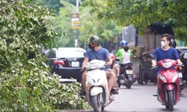 Đại học gấp rút chuyển sang học trực tuyến để phòng tránh bão số 3