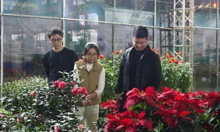 Sinh viên đưa nông sản từ giảng đường lên sàn thương mại điện tử