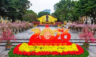 ​Công viên Hà Nội 'thay da đổi thịt', trang trí rực rỡ đón Xuân