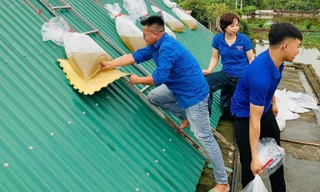 Thanh niên ba tỉnh chạy đua với bão số 3