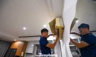 Hốt bạc với nghề 'ở nhà người khác' nhiều hơn nhà mình