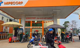 Tiết kiệm xăng dầu: Chỗ nào làm việc trực tuyến được thì nên khuyến khích