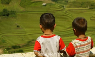 T.Ư Hội LHTN Việt Nam: Trung tâm Tình nguyện Quốc gia không thực hiện dự án ‘Nuôi em’
