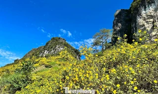 Tới Cao Bằng mùa này, du khách thốt lên: 'Đứng góc nào cũng có ảnh đẹp'
