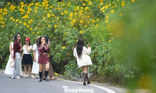 Ba Vì sau ngày ‘vỡ trận’ check-in, hoa dã quỳ có còn rực rỡ? 