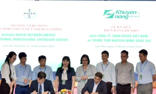 Bayer kiến tạo ngành lúa gạo chất lượng cao, giảm phát thải