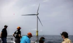 Lý do khiến Mỹ dừng tất cả dự án điện gió ngoài khơi