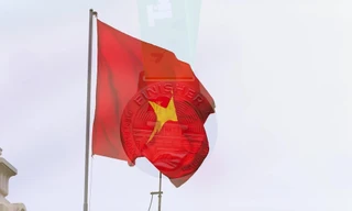 Bộ vật phẩm Tiền Phong Half Marathon: Ghi dấu hành trình xanh