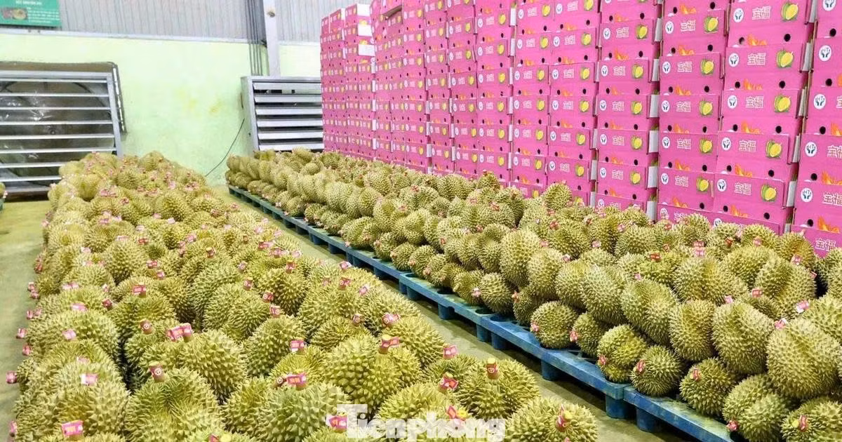 108cp2.jpg