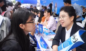 Bỏ cộng điểm chứng chỉ IELTS: Miếng bánh nghìn tỉ sẽ ra sao?