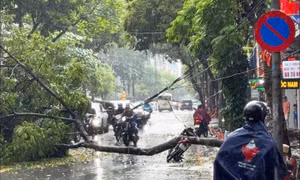 Mưa dông làm 4 người chết, 9 người bị thương 