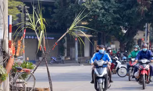 Thời tiết miền Bắc những ngày tới
