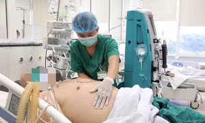 Cảnh báo từ ca bệnh sốt xuất huyết nguy kịch tại Hà Nội