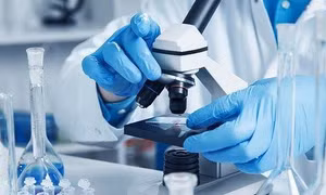 Tế bào gốc và gen trị liệu định hình xu hướng y học hiện đại
