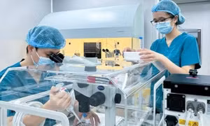 Mô hình mới cải thiện tình trạng vô sinh, hiếm muộn tại Việt Nam 